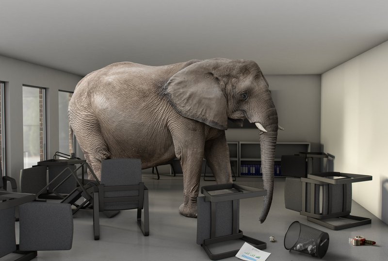 Elephant in the room: "lead generation pop-ups are annoying"